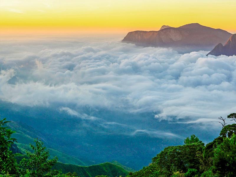 MUNNAR